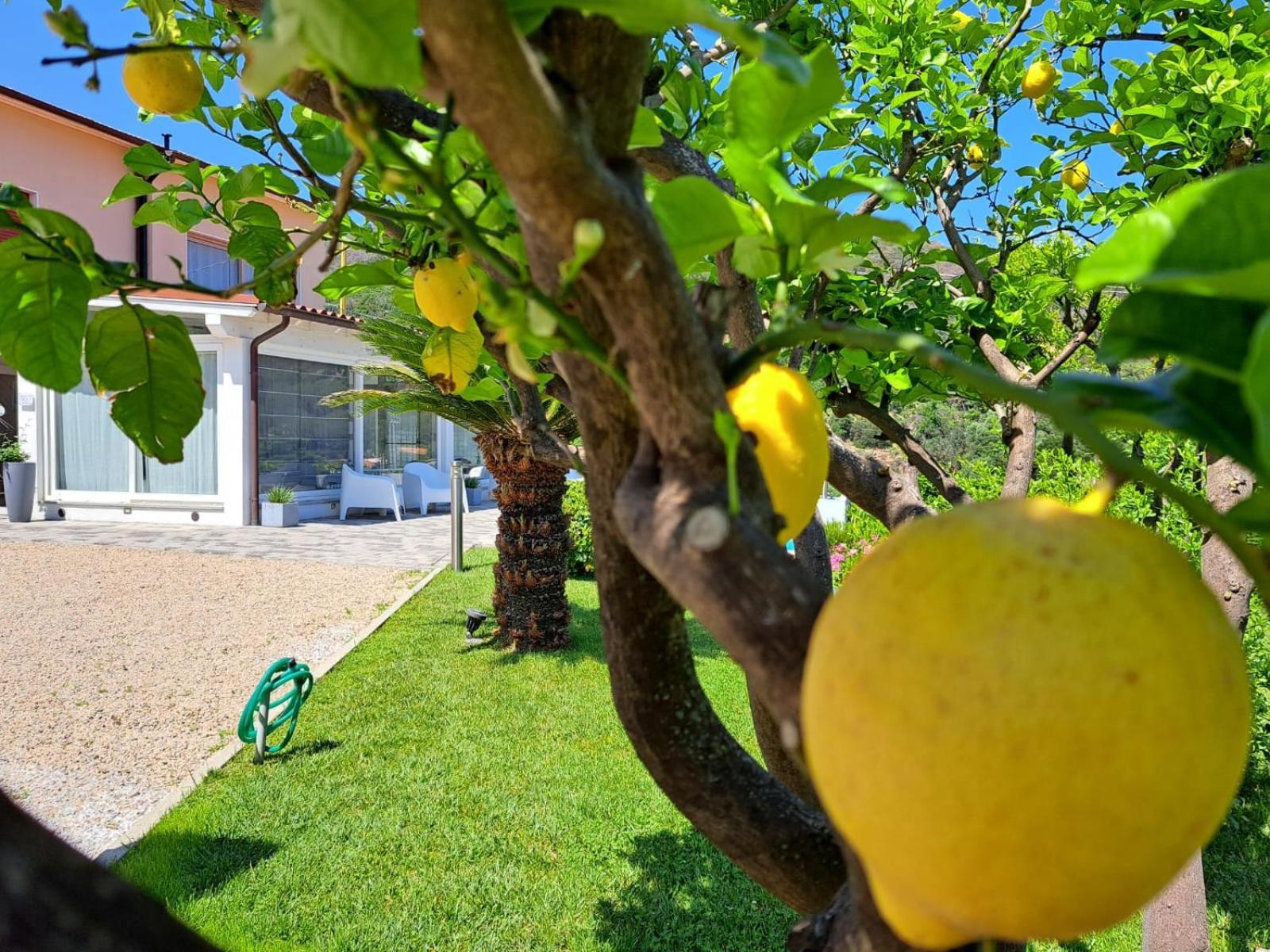 B&B Capo Al Piano Marciana Marina  Zewnętrze zdjęcie