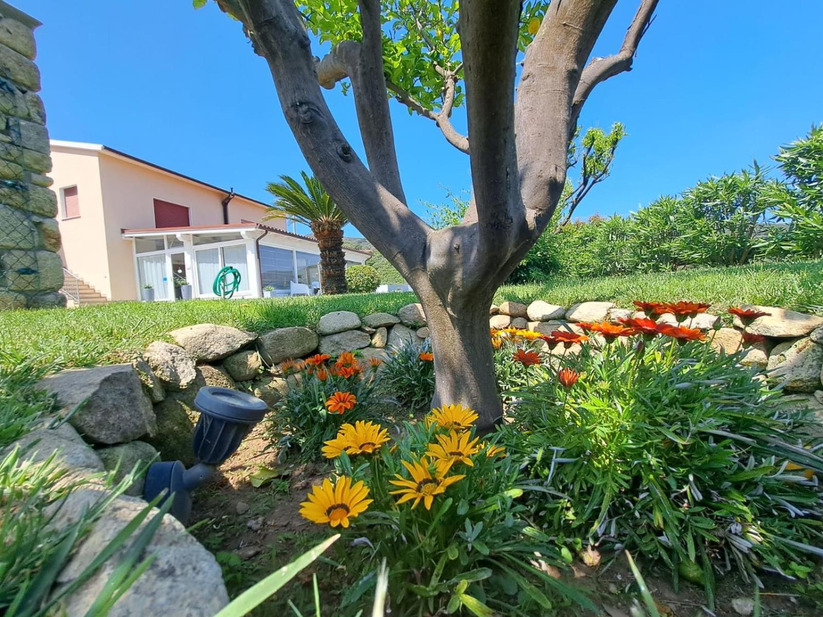 B&B Capo Al Piano Marciana Marina  Zewnętrze zdjęcie
