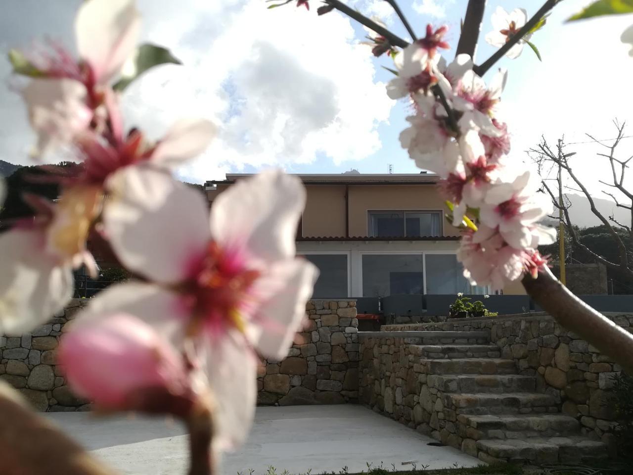 B&B Capo Al Piano Marciana Marina  Zewnętrze zdjęcie